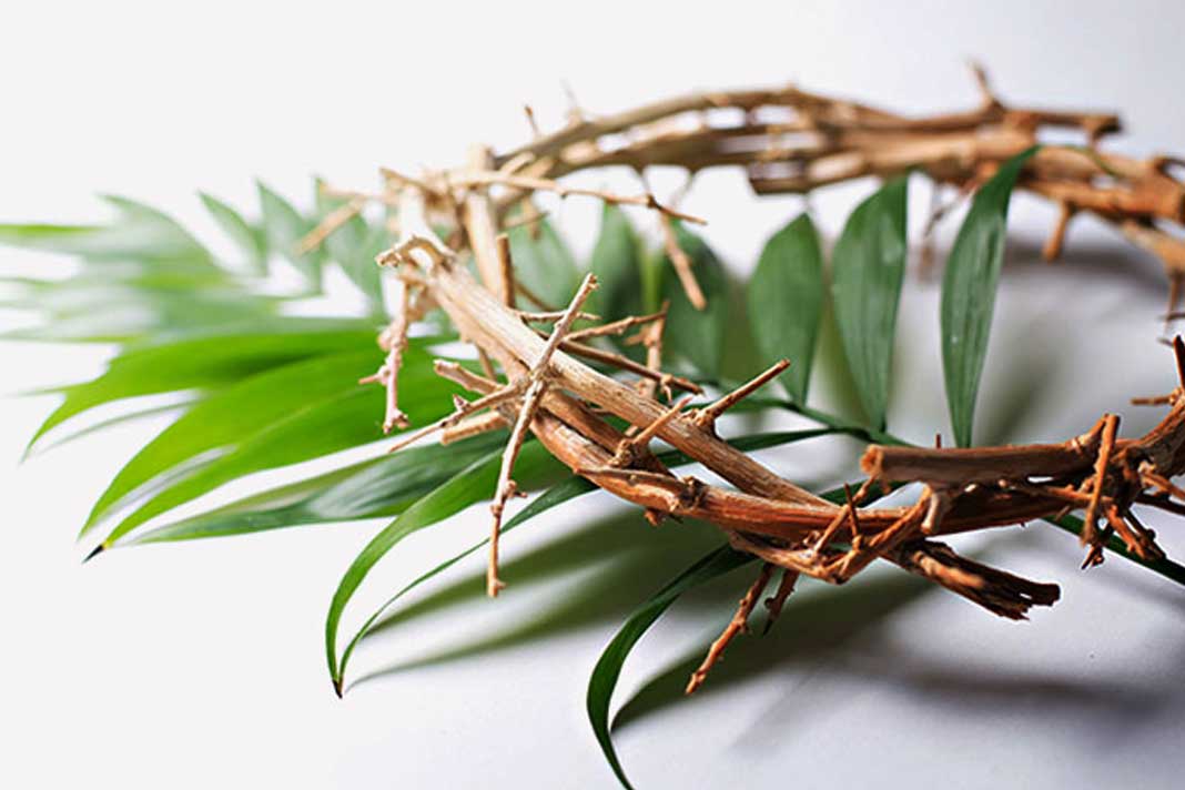 domingo de ramos palmas catequistasbrasil